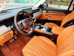 Tank 500 3.0T Sport Landscape Edition 5-Seater - ფოტო 15