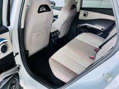 BYD Yuan Plus Glory Edition 430KM Transcend - ფოტო 20