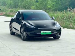 Tesla Model 3 Rear-Wheel Drive - ფოტო 3