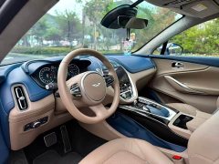 Aston Martin DBX 2021 4.0T V8 Silk Road Edition - ფოტო 4