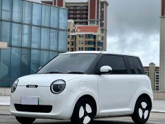 Changan Lumin 2023 205km Xiangqin Edition - ფოტო 1