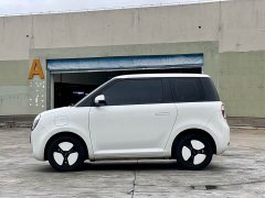 Changan Lumin 2023 205km Xiangqin Edition - ფოტო 11