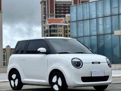 Changan Lumin 2023 205km Xiangqin Edition - ფოტო 3