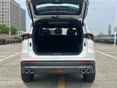 Jetour Jietu X70 PLUS 2025 Champion Edition 1.5T DCT Champion MAX 5-Seater - ფოტო 19