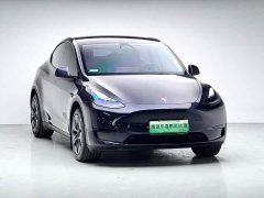 Tesla Model Y 2024 Rear-Wheel Drive - ფოტო 3