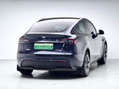 Tesla Model Y 2024 Rear-Wheel Drive - ფოტო 6