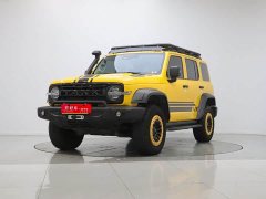 Tank 300 2.0T Frontier Limited Edition - ფოტო 1