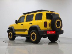Tank 300 2.0T Frontier Limited Edition - ფოტო 3