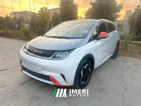 2021 BYD Dolphin 405km Fashion Edition - ავტომობილი ჩინეთიდან