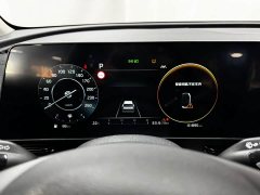 Kia Lion Platinum Tuojie Lion Pibo Tuojie 2.0T Two-Wheel Drive Luxury Edition - ფოტო 12