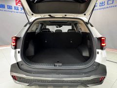 Kia Lion Platinum Tuojie Lion Pibo Tuojie 2.0T Two-Wheel Drive Luxury Edition - ფოტო 19