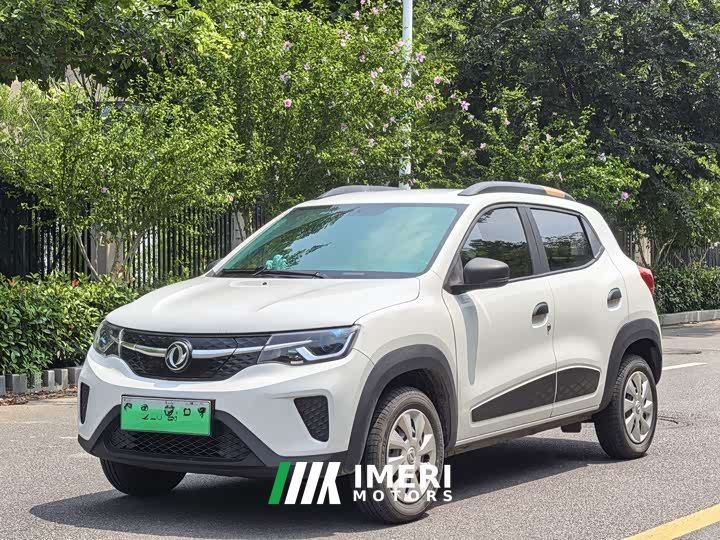 Dongfeng Nanotech EX1 PRO Yue Xing