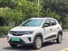 Dongfeng Nanotech EX1 PRO Yue Xing - ფოტო 1