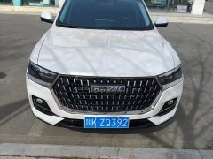 Haval H6 National Trend Edition 1.5T Automatic Urban Version - ფოტო 1