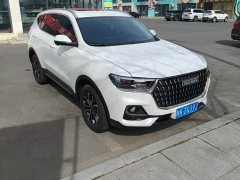 Haval H6 National Trend Edition 1.5T Automatic Urban Version - ფოტო 2