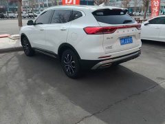 Haval H6 National Trend Edition 1.5T Automatic Urban Version - ფოტო 7