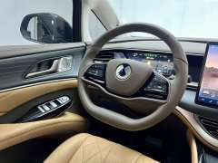 Denza D9 2022 DM-i 970 AWD Flagship - ფოტო 17