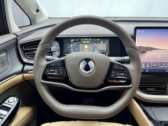 Denza D9 2022 DM-i 970 AWD Flagship - ფოტო 20