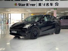 Tesla Model Y Rear-Wheel Drive - ფოტო 1