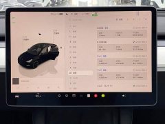 Tesla Model Y Rear-Wheel Drive - ფოტო 11