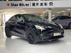 Tesla Model Y Rear-Wheel Drive - ფოტო 3