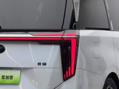 GAC Aion E9 Champion Edition - ფოტო 6