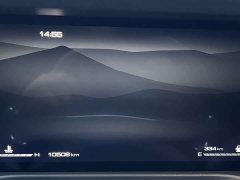 Tank 300 2.0T Conqueror - ფოტო 10