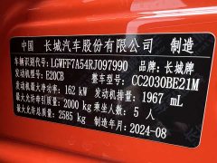 Tank 300 2.0T Conqueror - ფოტო 9