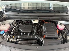 BYD Song L DM-i 112km Transcendence - ფოტო 6