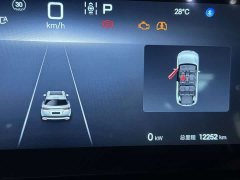 BYD Song L DM-i 112km Transcendence - ფოტო 9