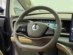 Denza D9 2022 DM-i 970 AWD Flagship - ფოტო 13