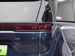 Denza D9 2022 DM-i 970 AWD Flagship - ფოტო 6