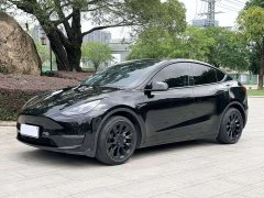 Tesla Model Y Standard Range RWD - ფოტო 1
