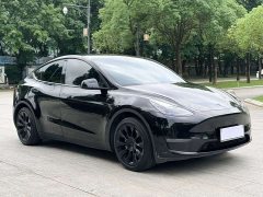 Tesla Model Y Standard Range RWD - ფოტო 3
