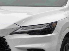 Lexus RX 2023 500h AWD F SPORT Performance - ფოტო 3