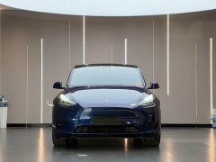 Tesla Model Y Facelift Rear-Wheel Drive - ფოტო 2