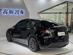 Tesla Model Y 2022 Performance All-Wheel Drive - ფოტო 10