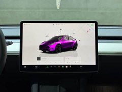 Tesla Model Y 2022 Performance All-Wheel Drive - ფოტო 4