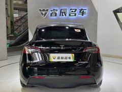 Tesla Model Y 2022 Performance All-Wheel Drive - ფოტო 9