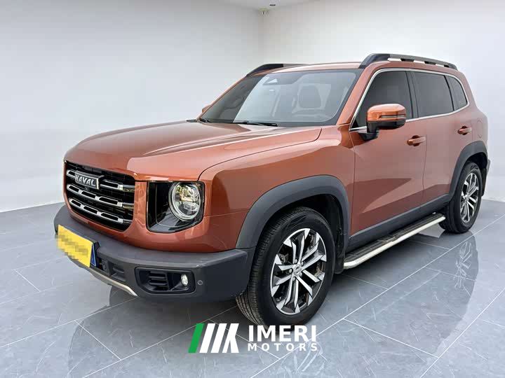 Great Wall Dachshund 1.5T DCT Two-Wheel Drive Border Collie Edition