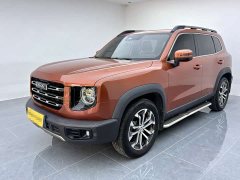 Great Wall Dachshund 1.5T DCT Two-Wheel Drive Border Collie Edition - ფოტო 1
