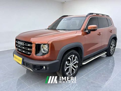 2021 Great Wall Dachshund 1.5T DCT Two-Wheel Drive Border Collie Edition - ავტომობილი ჩინეთიდან