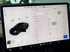 Tesla Model 3 Facelift Standard Range RWD Upgrade 3D1 - ფოტო 10