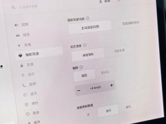 Tesla Model 3 Facelift Standard Range RWD Upgrade 3D1 - ფოტო 12
