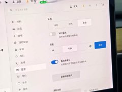 Tesla Model 3 Facelift Standard Range RWD Upgrade 3D1 - ფოტო 14