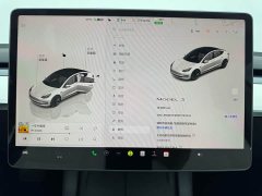 Tesla Model 3 2022 Rear-Wheel Drive - ფოტო 12