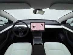 Tesla Model 3 2022 Rear-Wheel Drive - ფოტო 9