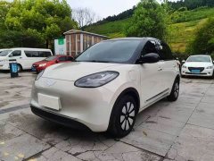 Wuling Binguo 2023 333km Joy Edition - ფოტო 1