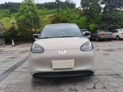 Wuling Binguo 2023 333km Joy Edition - ფოტო 2