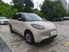 Wuling Binguo 2023 333km Joy Edition - ფოტო 3